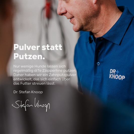 Zahnstein Hund entfernen, Dein Hund riecht aus dem Maul? Zahnpflege Hund gegen Mundgeruch, Zahnreinigung - Pulver anstatt Flocken, Spray oder Bürste,100g, einfacher Einsatz mit Langzeit