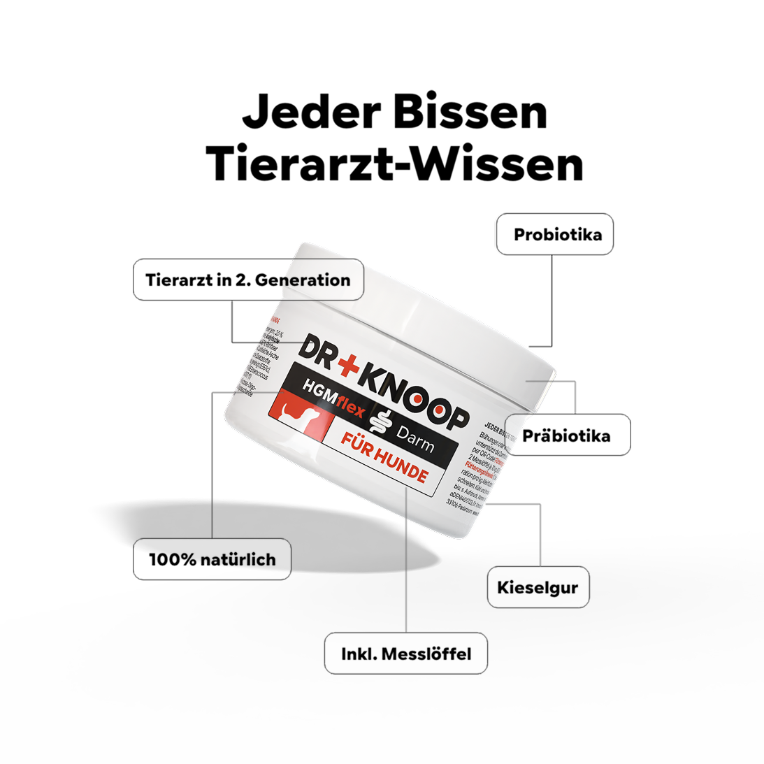 Hund Darmpulver, Aufbau Darmflora, Darmsanierung nach Verdauungsstörungen (weicher, schleimiger Kot), mit Probiotika und Präbiotika, für Allergiker geeignet, HGMflex Darm 90g