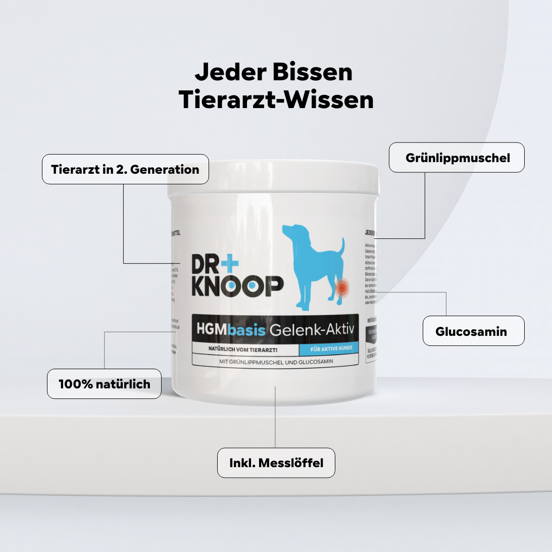 Grünlippmuschel Pulver Hund (für junge aktive Hunde/Welpen), extra mit Glucosamin, anstatt Gelenktabletten Hund, hohe Akzeptanz durch Vanillearoma, HGM 500g - von Tierarzt Dr. Knoop