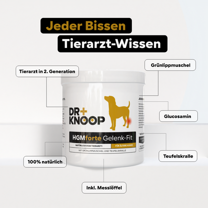 Gelenkpulver speziell Alter Hund, 450g, für 45 Tage bei 20 kg-Hund, Wirkung Teufelskralle, Grünlippmuschel Pulver + Glucosamin anstatt Gelenktabletten, Vanillearoma