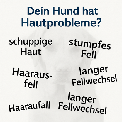 Hund trockene schuppige Haut, Haarausfall, stumpfes Haar, Probleme Fellwechsel - mit Lachsöl MSM Omega 3+6 Fettsäure Hund, Fellpflege Hund, 80g, für Allergiker geeignet, wieder Kraft und Glanz im Fell