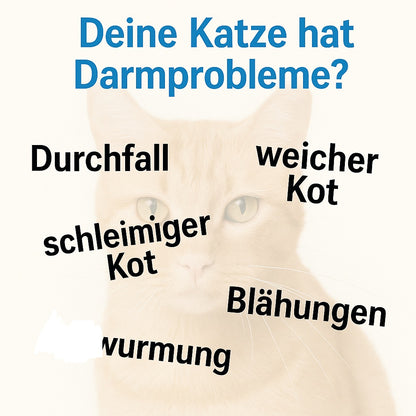 Katze Darmpulver - Probiotika & Präbiotika - Kot weich+schleimig, Blähungen - Unterstüzung Darmflora, HGMflex Darm 90 g