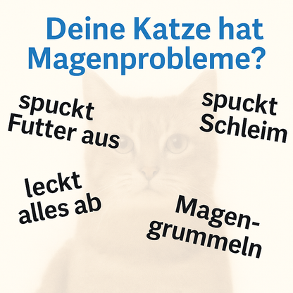 Katze Magenschutz - spuckt immer mal wieder Schaum und Futter, aber frisst dann schnell wieder - unterstützt Verdauung - HGMflex Magen 60 g