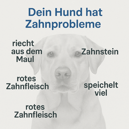 Zahnstein Hund entfernen, Dein Hund riecht aus dem Maul? Zahnpflege Hund gegen Mundgeruch, Zahnreinigung - Pulver anstatt Flocken, Spray oder Bürste,100g, einfacher Einsatz mit Langzeit
