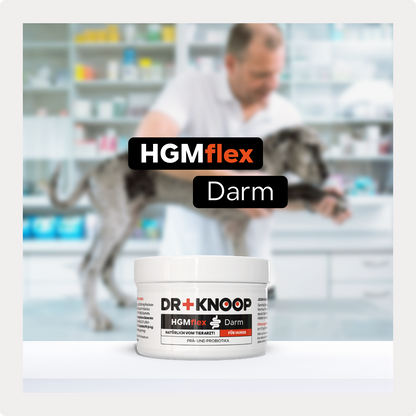 Hund Darmpulver, Aufbau Darmflora, Darmsanierung nach Verdauungsstörungen (weicher, schleimiger Kot), mit Probiotika und Präbiotika, für Allergiker geeignet, HGMflex Darm 90g