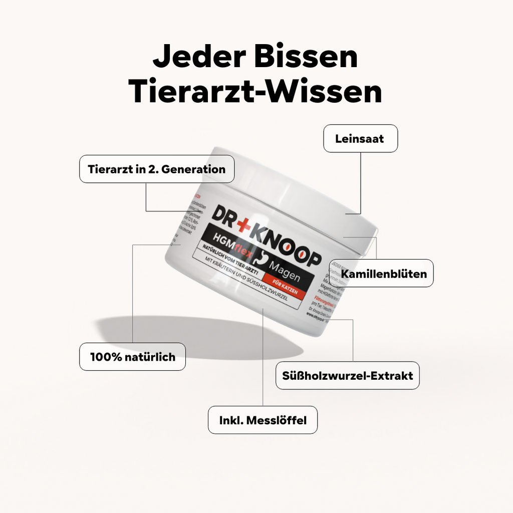 Katze Magenschutz - spuckt immer mal wieder Schaum und Futter, aber frisst dann schnell wieder - unterstützt Verdauung - HGMflex Magen 60 g