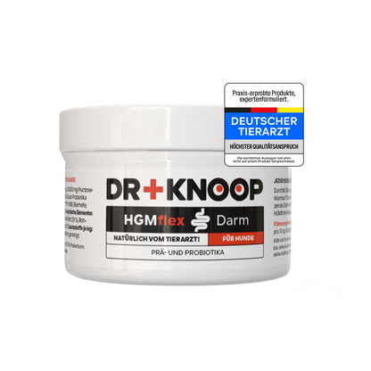 Hund Darmpulver, Aufbau Darmflora, Darmsanierung nach Verdauungsstörungen (weicher, schleimiger Kot), mit Probiotika und Präbiotika, für Allergiker geeignet, HGMflex Darm 90g
