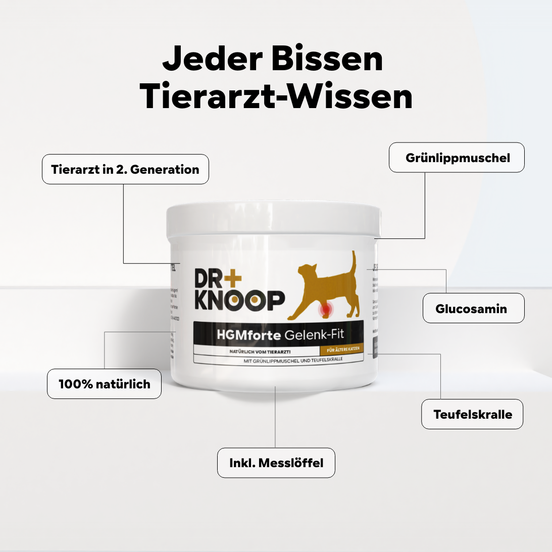 Katze Gelenkpulver Senior - steigert Bewegungsfreude im Alter - Teufelskralle + Grünlippmuschel + Glucosamin, HGMforte 220 g - von Tierarzt Dr. Knoop