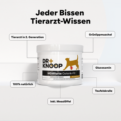 Katze Gelenkpulver Senior - steigert Bewegungsfreude im Alter - Teufelskralle + Grünlippmuschel + Glucosamin, HGMforte 220 g - von Tierarzt Dr. Knoop