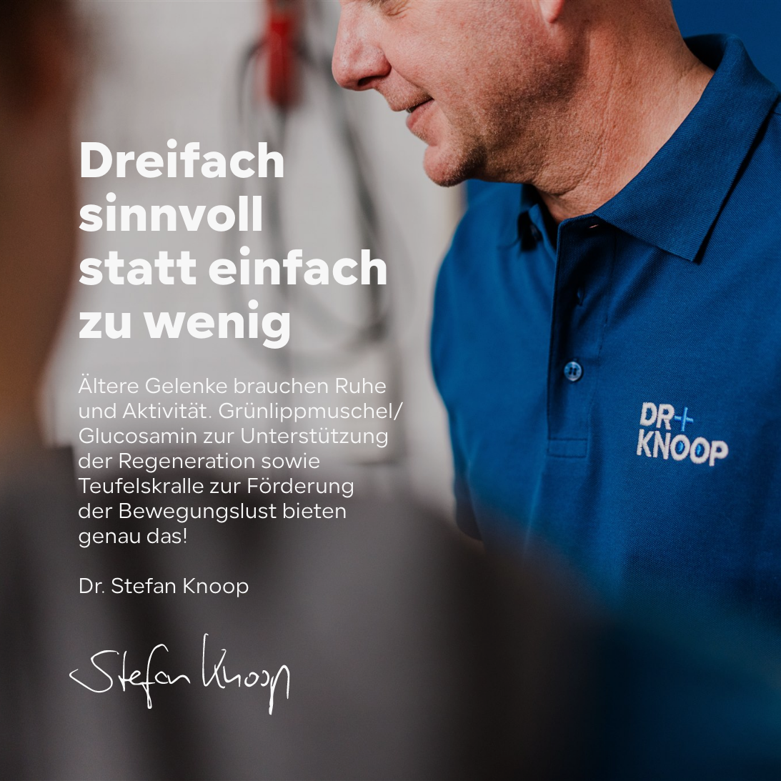 Katze Gelenkpulver Senior - steigert Bewegungsfreude im Alter - Teufelskralle + Grünlippmuschel + Glucosamin, HGMforte 220 g - von Tierarzt Dr. Knoop