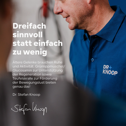 Katze Gelenkpulver Senior - steigert Bewegungsfreude im Alter - Teufelskralle + Grünlippmuschel + Glucosamin, HGMforte 220 g - von Tierarzt Dr. Knoop